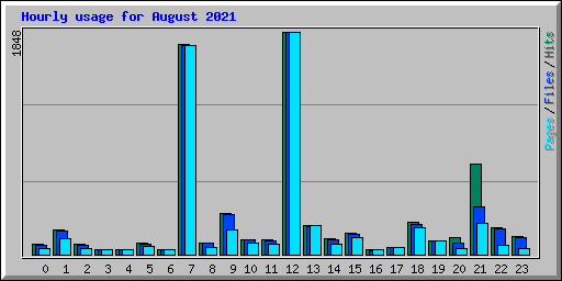 Hourly usage for August 2021